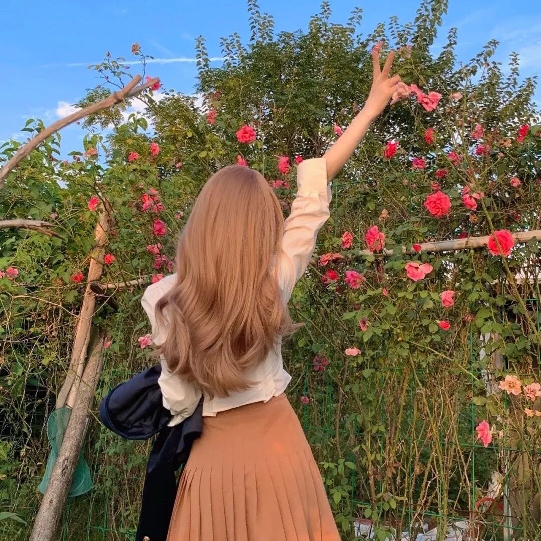 油麻菜籽